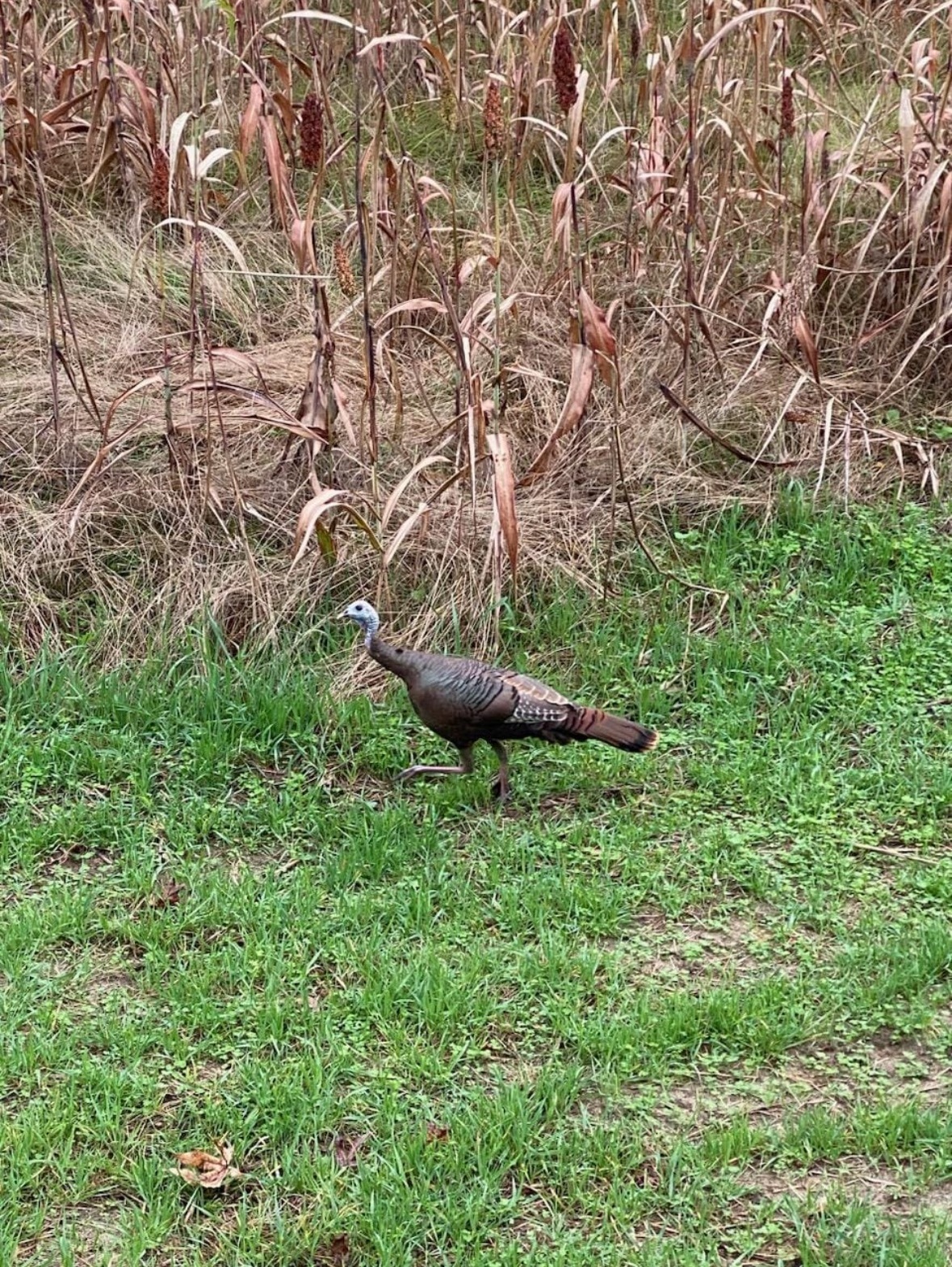 Perkins Hunting Retreat Photo